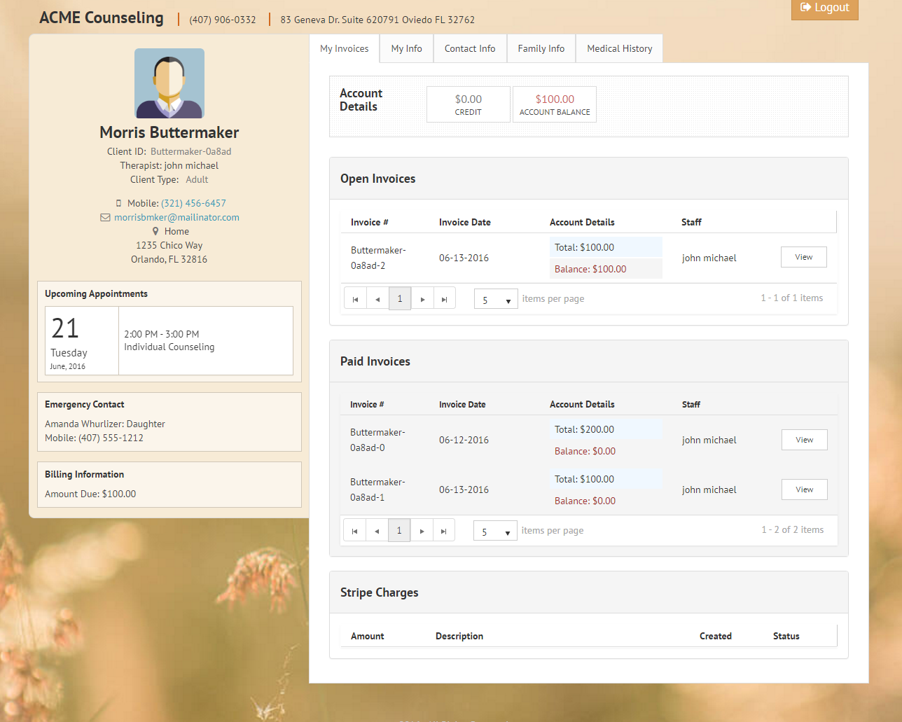 Clients can pay invoices online using the client portal in TherapyZen